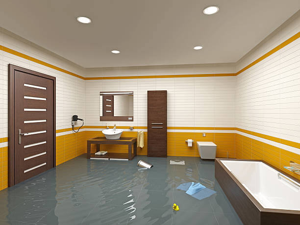 Best Odor Removal and Sanitization After Water Damage in Munford, TN